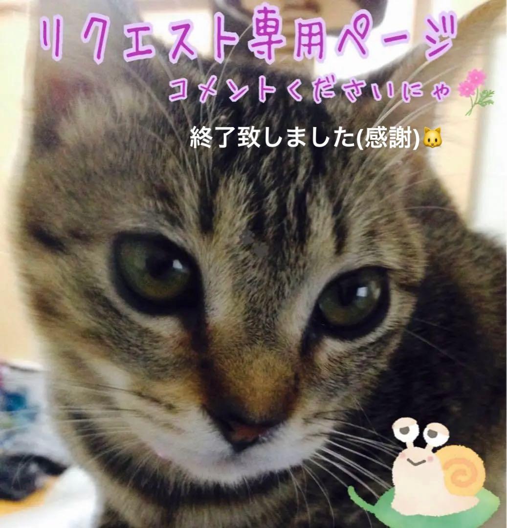 リクエスト専用ページ