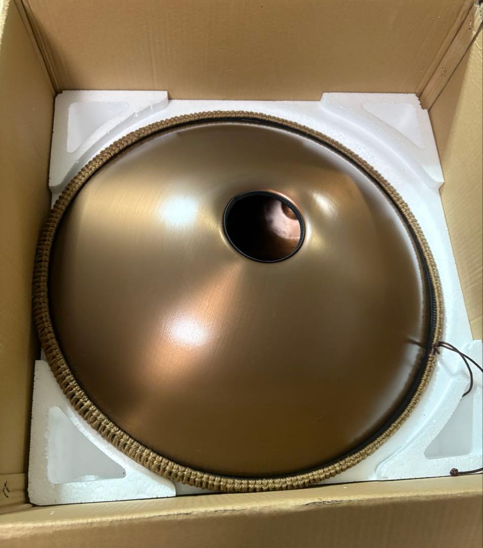 10ノート ハンドパン スティールパン　スチールドラム　ハンドドラム