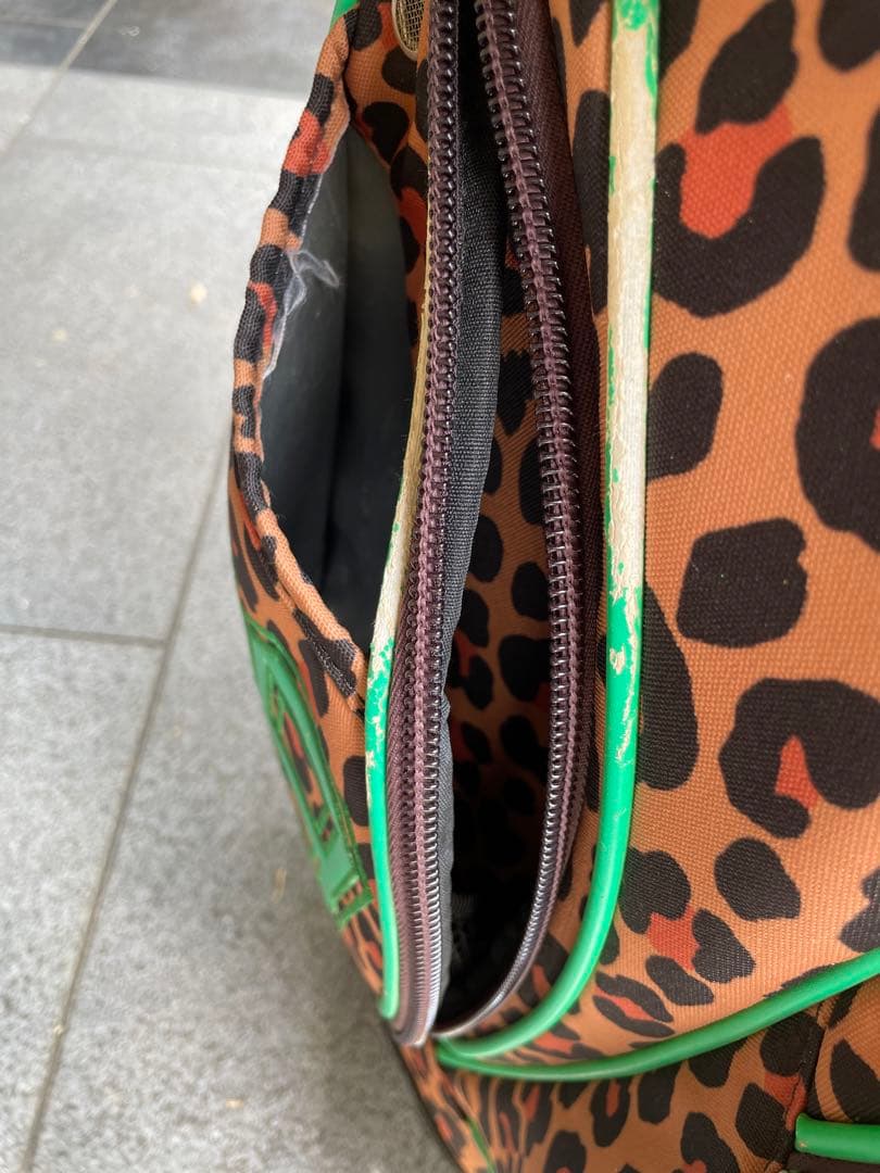 キャディバックセット