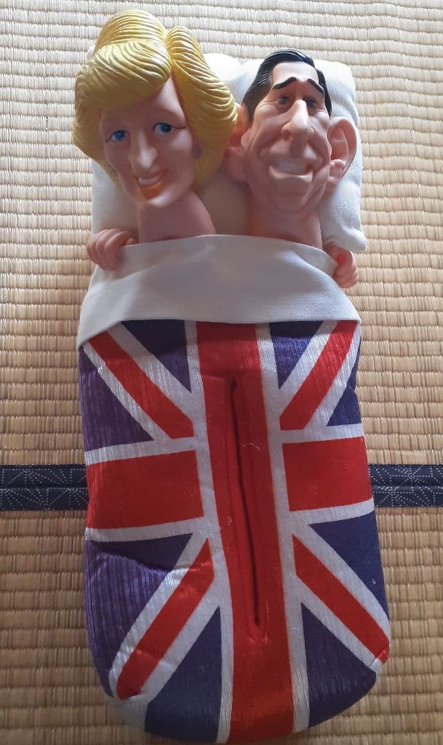 ダイアナ妃とチャールズ皇太子 ティッシュボックスカバー