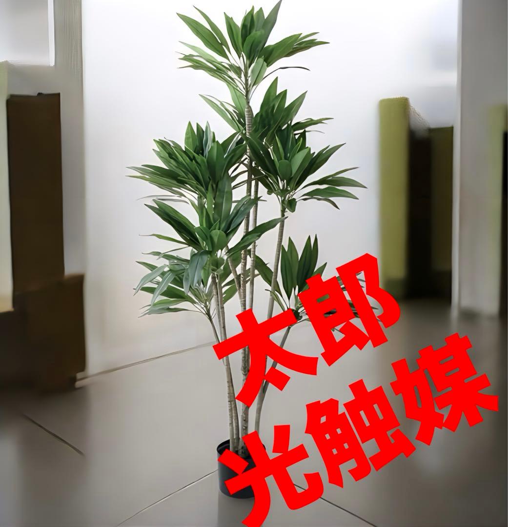 光触媒　人工観葉植物　ウォールグリーン　フェイクグリーン　ドラセナストリクタ19