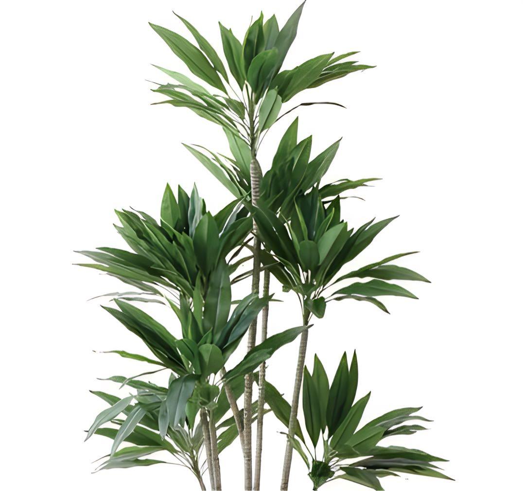 光触媒　人工観葉植物　ウォールグリーン　フェイクグリーン　ドラセナストリクタ19