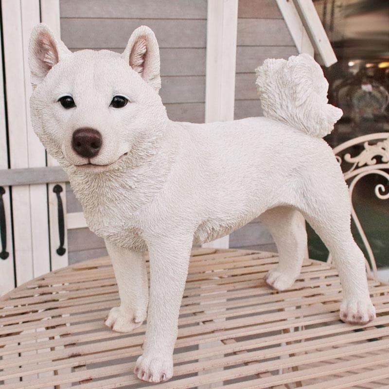 白い柴犬 置物 オブジェ かわいい インテリア 375-222