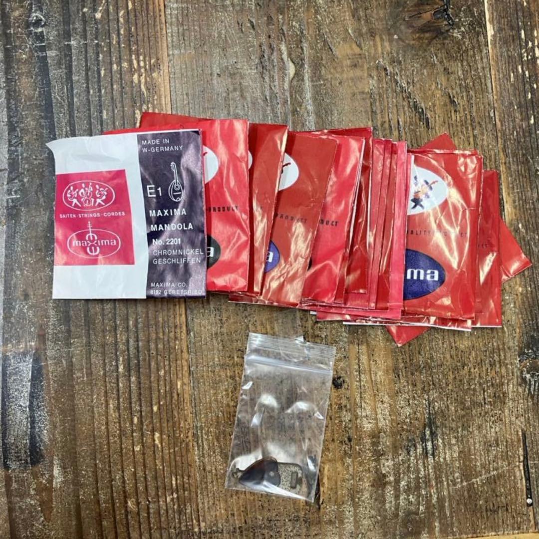 【美品】SUZUKI MD-3 マンドラ スズキ ハードケース付き