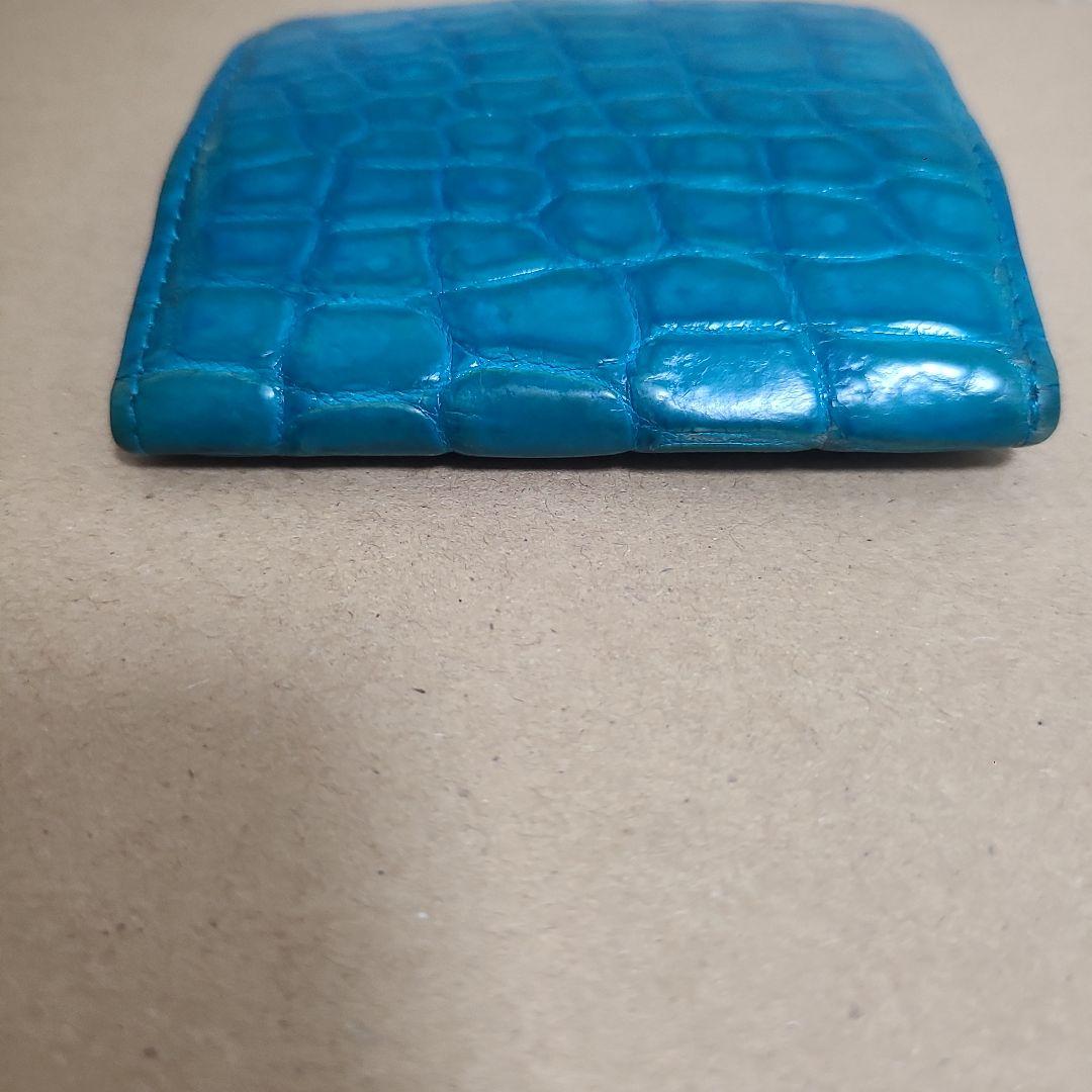 池田工芸　クロコダイル　ワニ革　ケース　稀少カラー