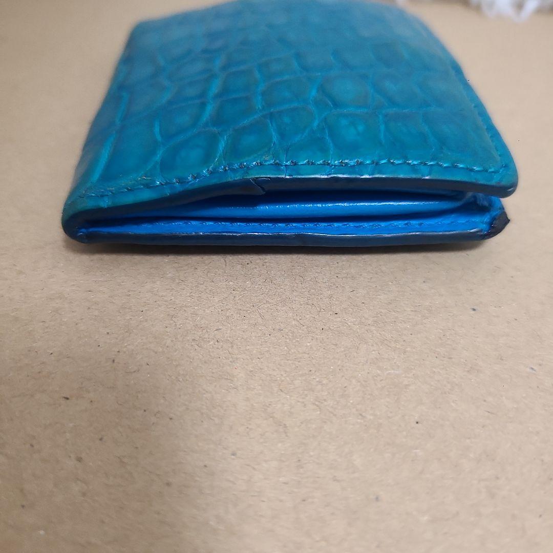 池田工芸　クロコダイル　ワニ革　ケース　稀少カラー