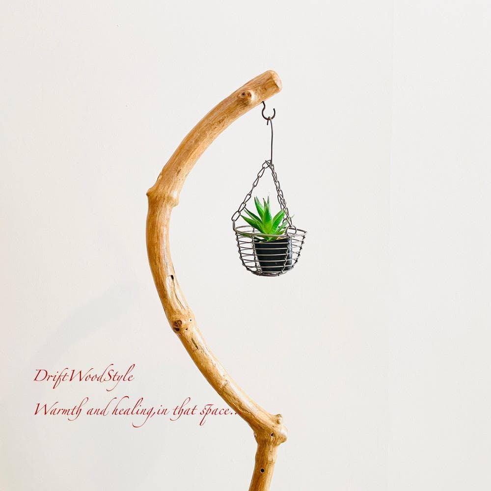 曲線を描く天然流木のランプスタンド 置物 北欧 照明 ランタン N4