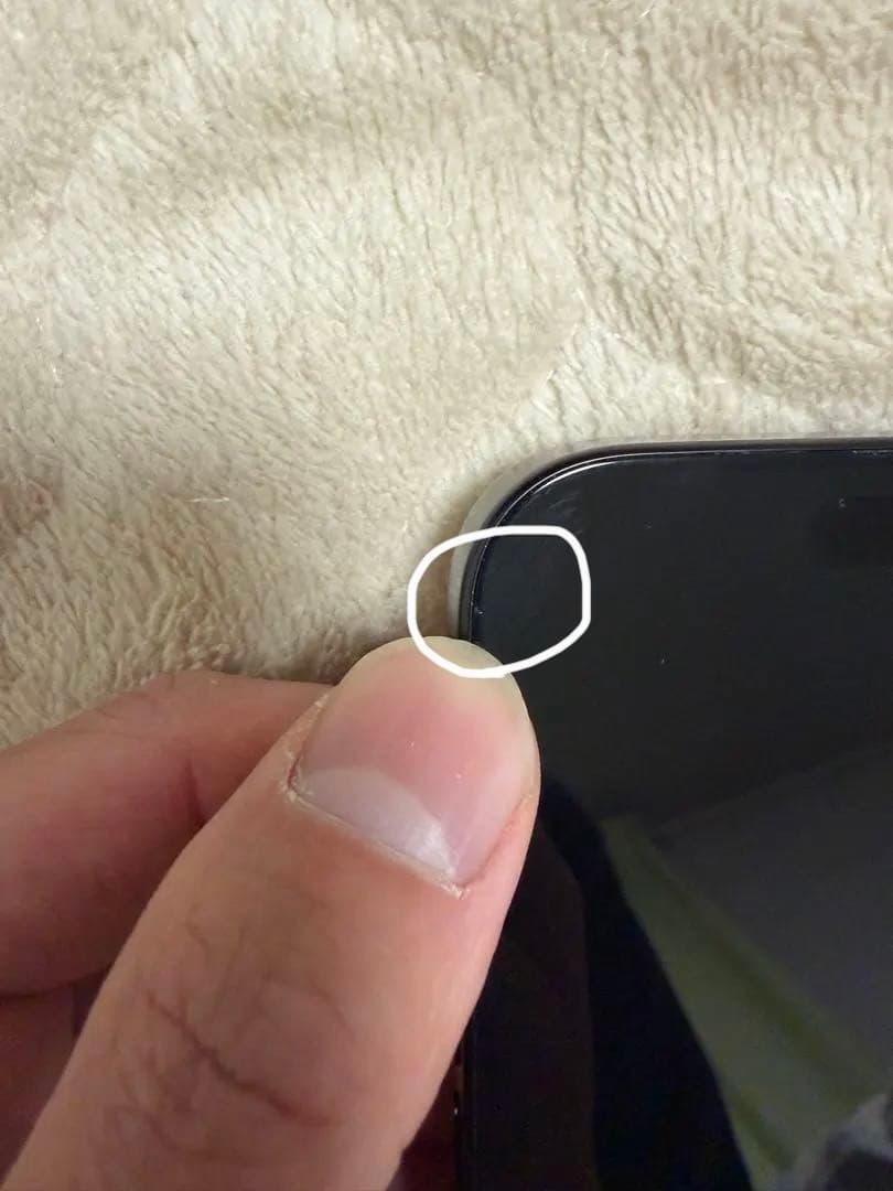 Apple iPhone 16 Pro MAX 本体