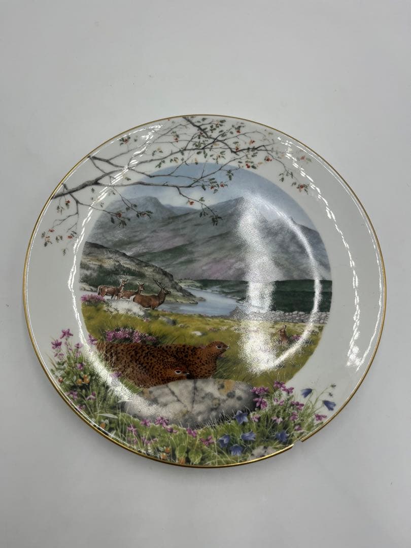 ロイヤルウースター  WORCESTER 12枚セット　飾り皿