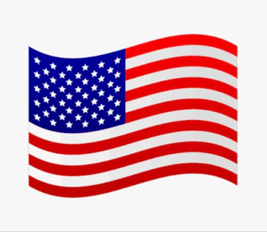 ジャケット・アウター AVIREX MA-1 COMMERCIAL sage color