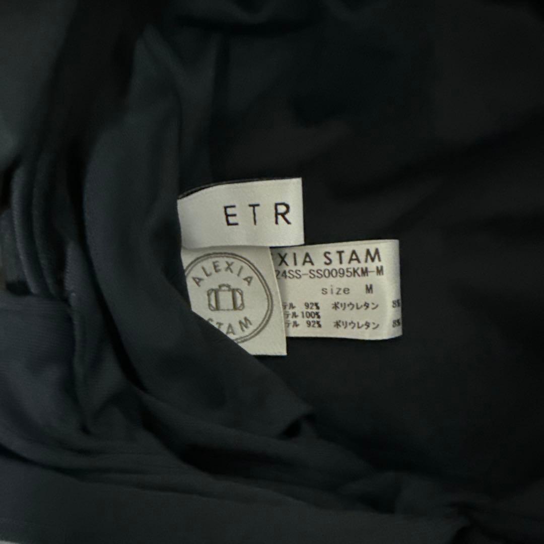 ブラック Vネック ワンピース水着　ALEXIASTAM