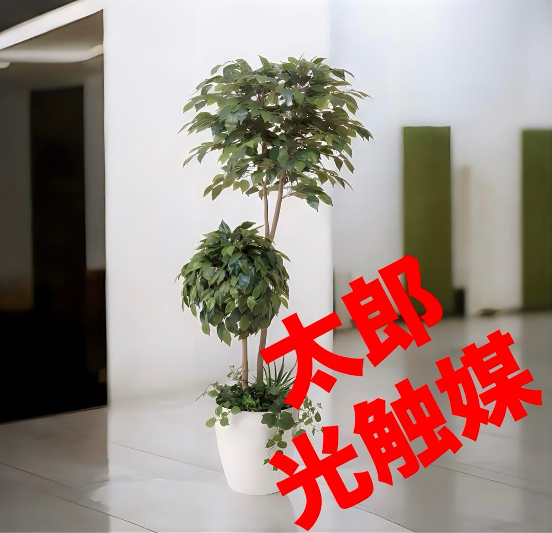 光触媒　人工観葉植物　フェイクグリーン　ベンジャミンダブルフェイス植栽付1.8m