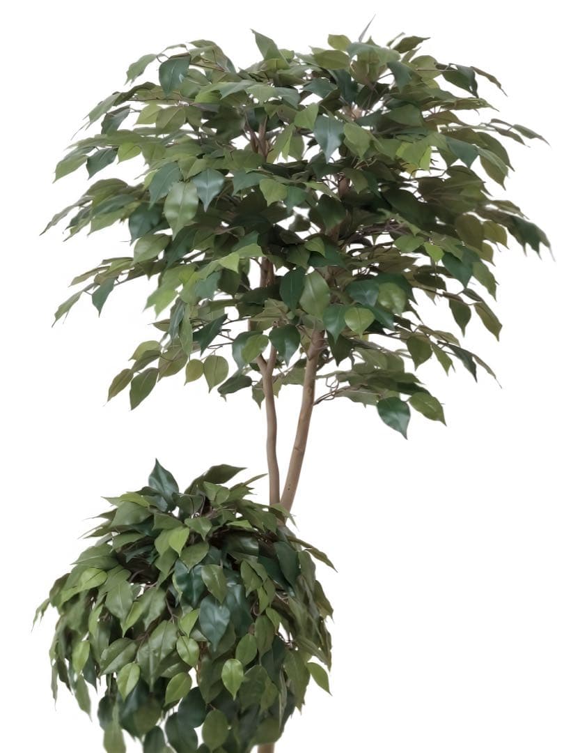 光触媒　人工観葉植物　フェイクグリーン　ベンジャミンダブルフェイス植栽付1.8m