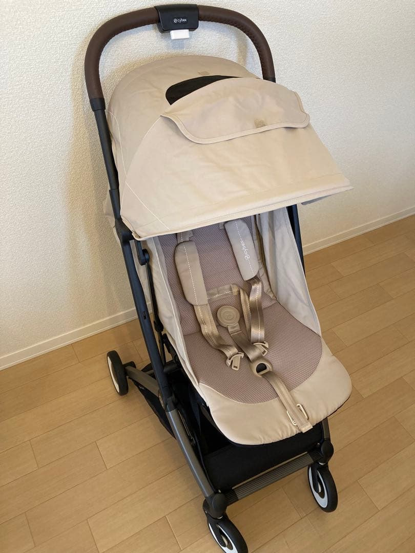 サイベックス　オルフィオ　2025