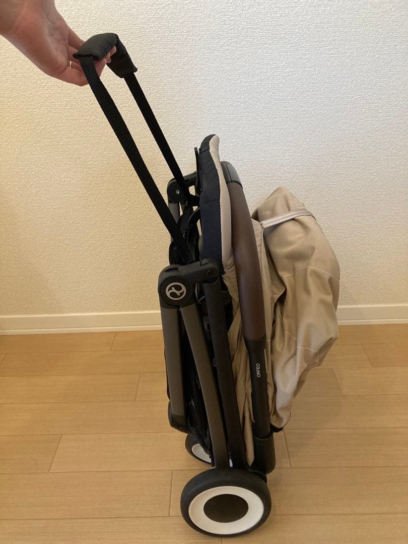 サイベックス　オルフィオ　2025