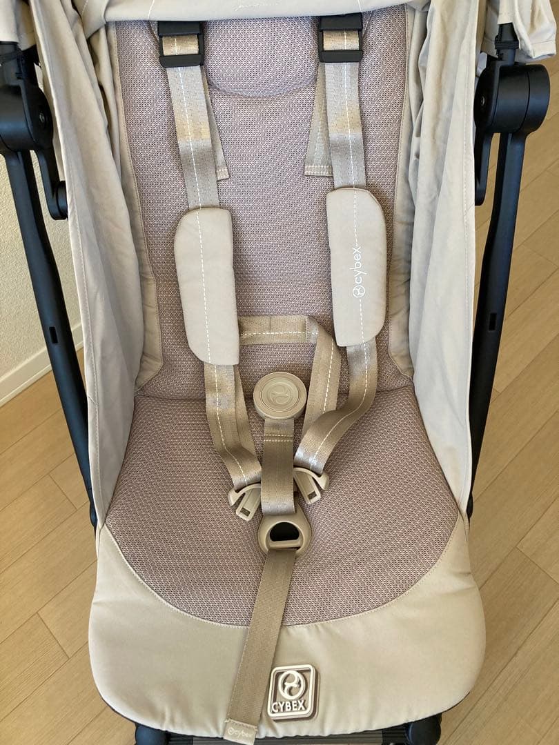 サイベックス　オルフィオ　2025