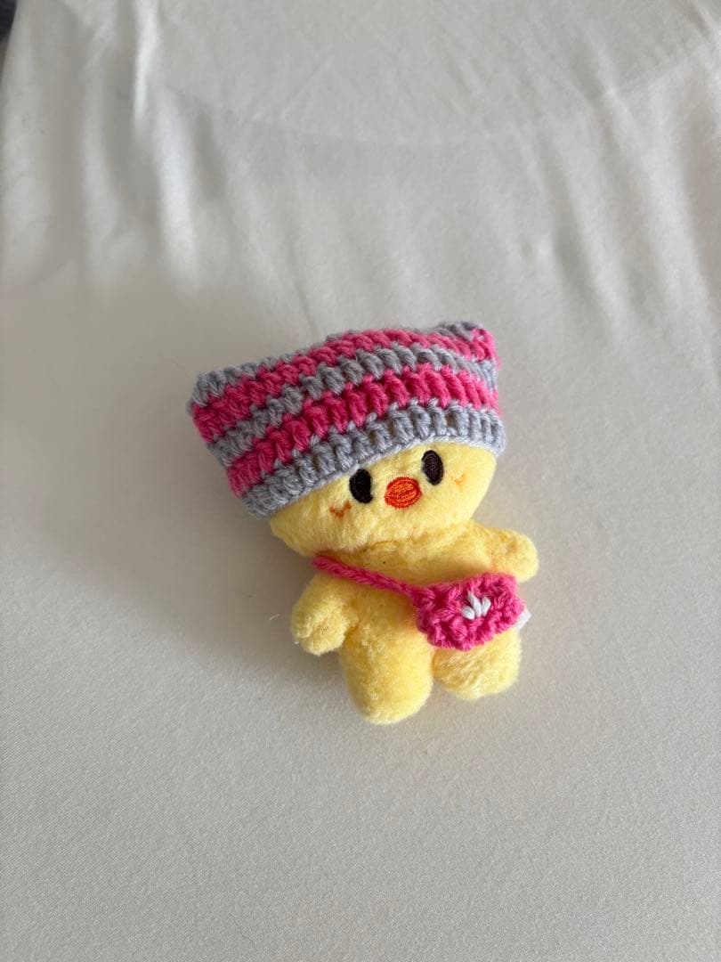 【オーダー受付中】straykids skzoo10cm ぬい服