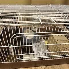 小動物用ケージ