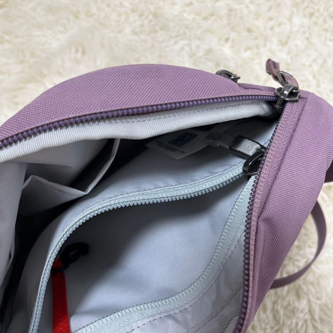 【限定カラー】アークテリクス マンティス1 アルペングロー ウエストパック 美品