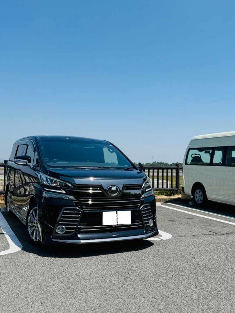 30ヴェルファイア　Lスタイル LEDヘッドライトガーニッシュ