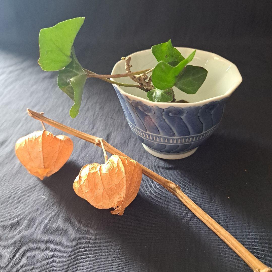 「不思議デザインな古伊万里(直径9.5cm)」 染付向付4客セット 骨董アンティ