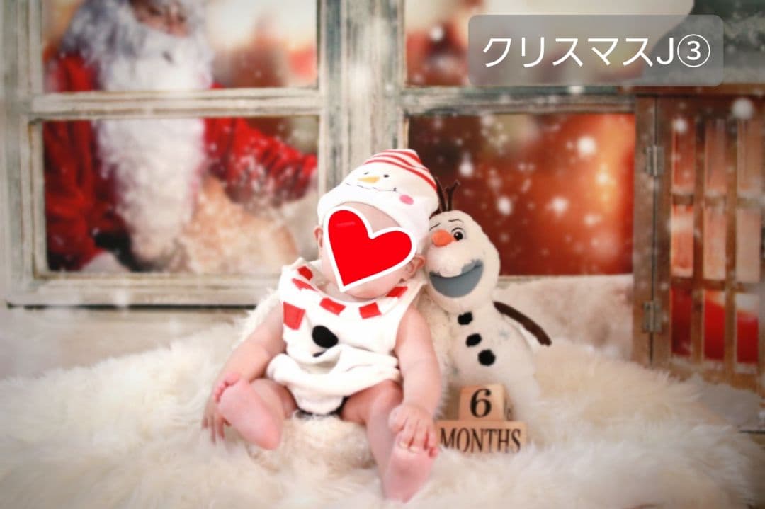 背景布【ガーデンG】サンプル　ペット、ドール撮影用ブース　薔薇　紫陽花　梅雨