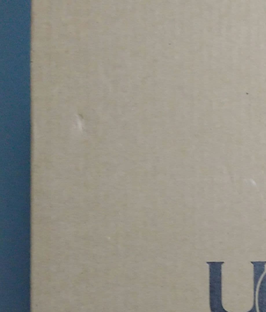 アグ UGG ブーツ　ミニ ベイリー ボウ　リボン　キッズ　17cm