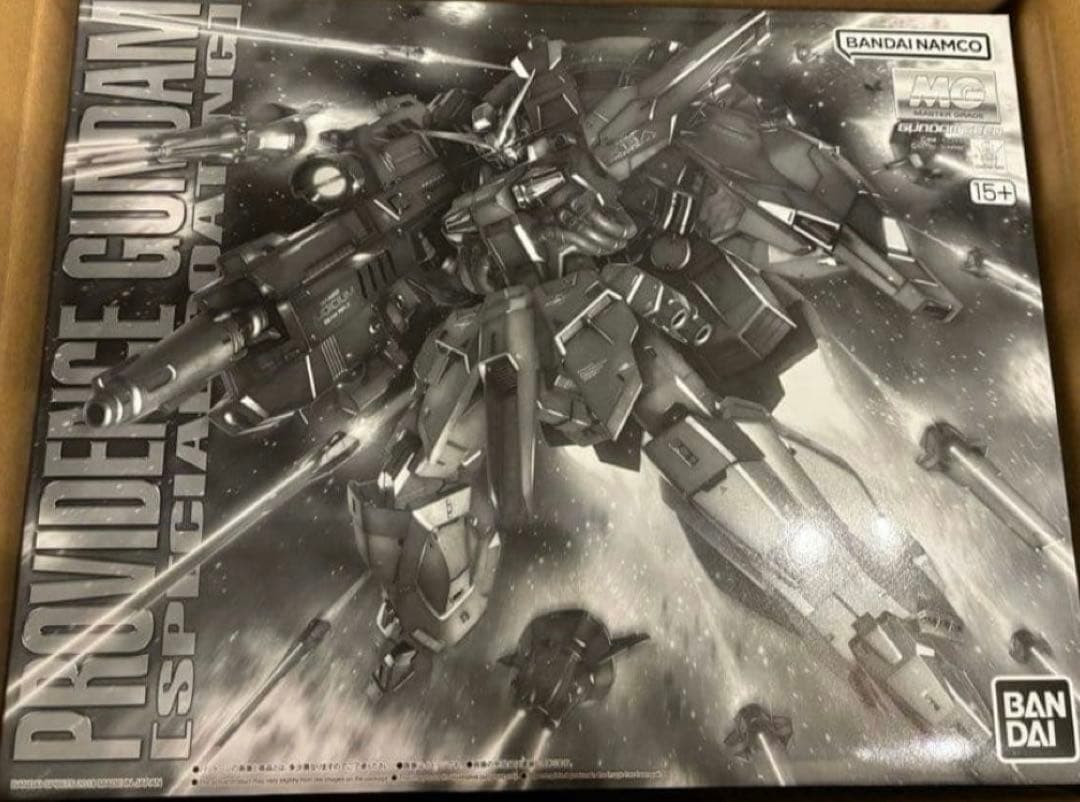 プロヴィデンスガンダム スペシャルコーティングMG 1/100 新品未開封品