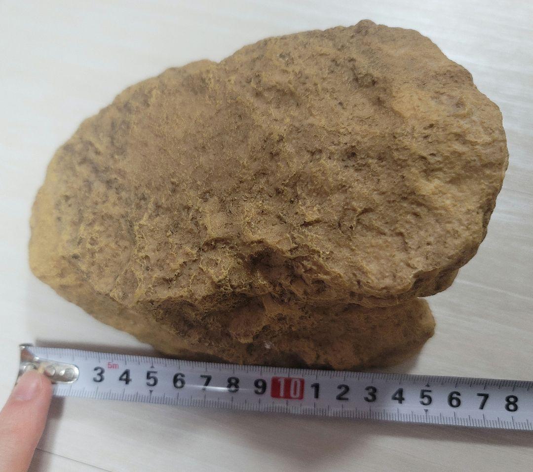 爬虫類飼育セット一式‼️まとめ売り