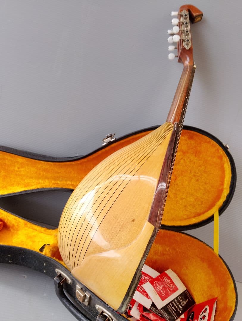 マンドリン監修者: 野口 実(あ13)