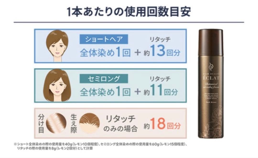 ヘアボーテ エクラ ボタニカルエアカラーフォームup 2箱　ブラシ付き