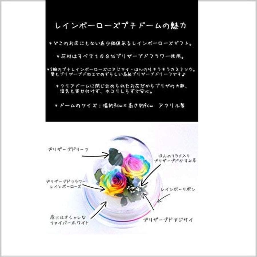 楽天 Amazon Yahooランキング1位☆✿ ♬ レインボーローズプチドーム