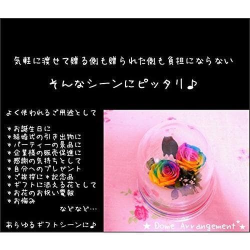 楽天 Amazon Yahooランキング1位☆✿ ♬ レインボーローズプチドーム