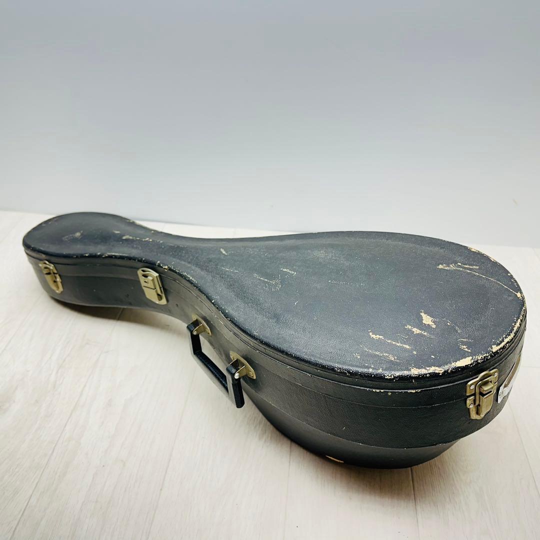 SUZUKI マンドリン　M-218