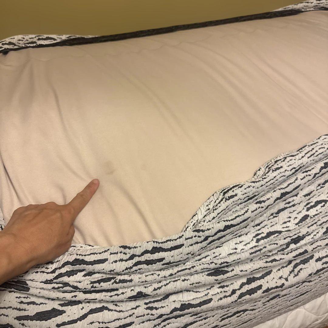 大阪引き取りYogibo LUXE MAXラックスマックス