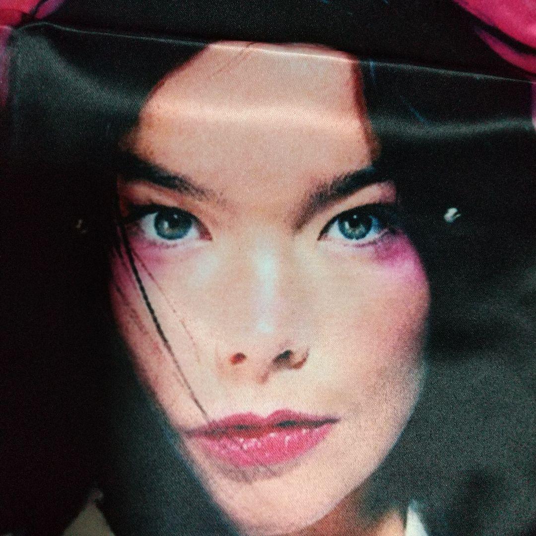 ビョーク bjork クッションカバー