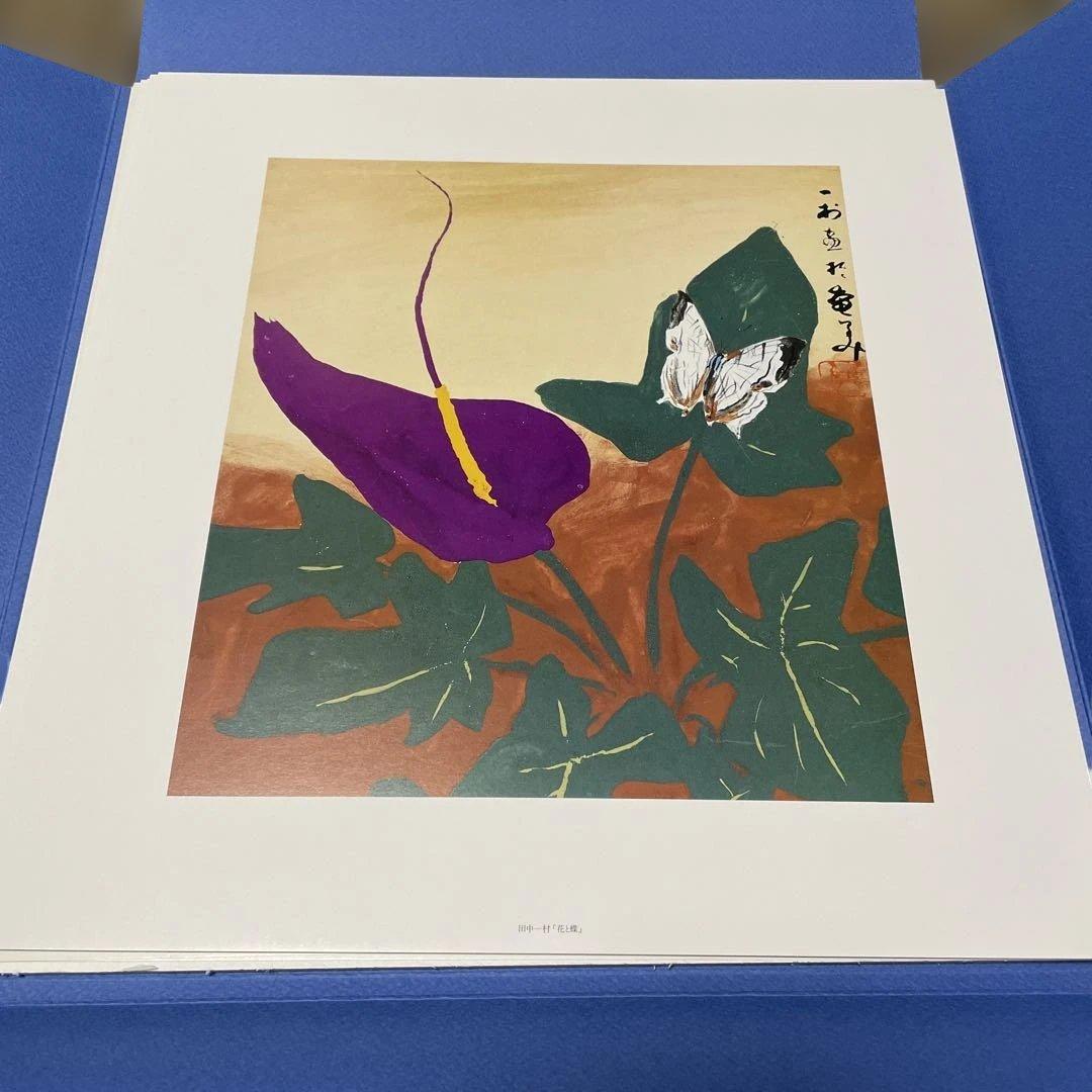 田中一村　色紙傑作選　 黒潮の画譜12景　(額装版)