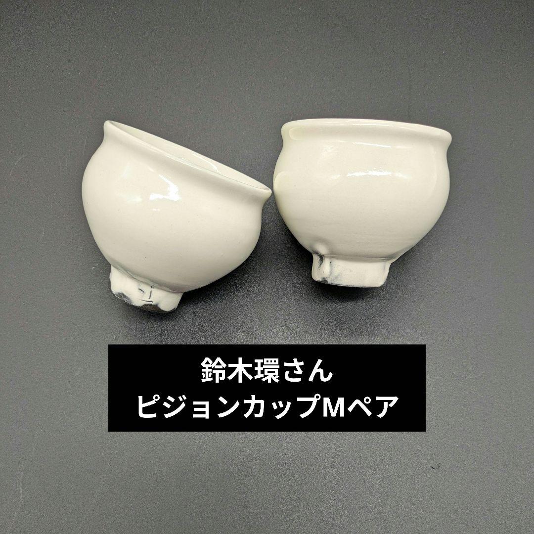 鈴木環さん　ピジョンカップM ペア