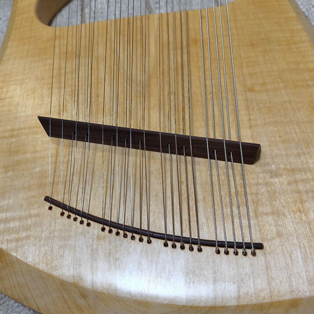 ライアー 23弦　AURIS社製（教則本付）