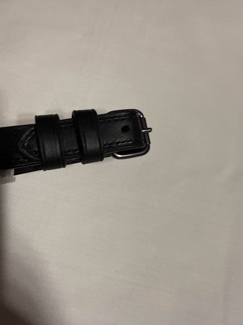 ☆期間限定品☆COACH ネームタグ シグネチャー ラゲッジタグ グリーンマルチ