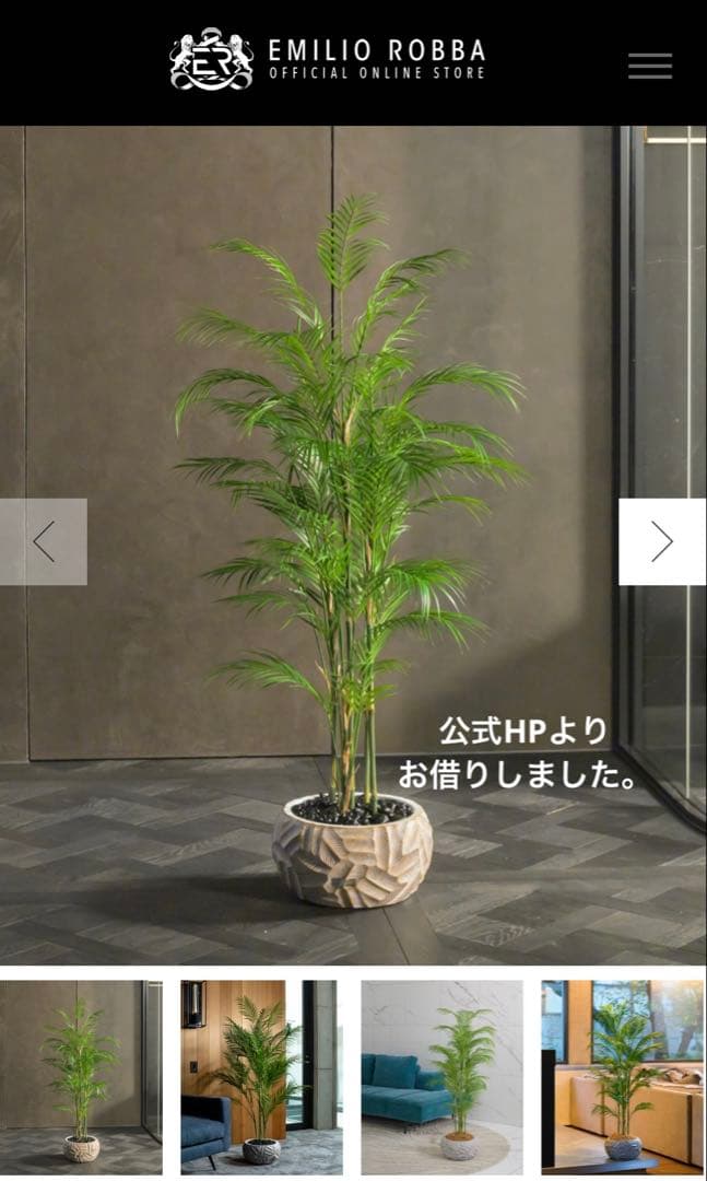 【港区にて直接お渡しも可能】　エミリオ　ロバ　パーム　グリーン