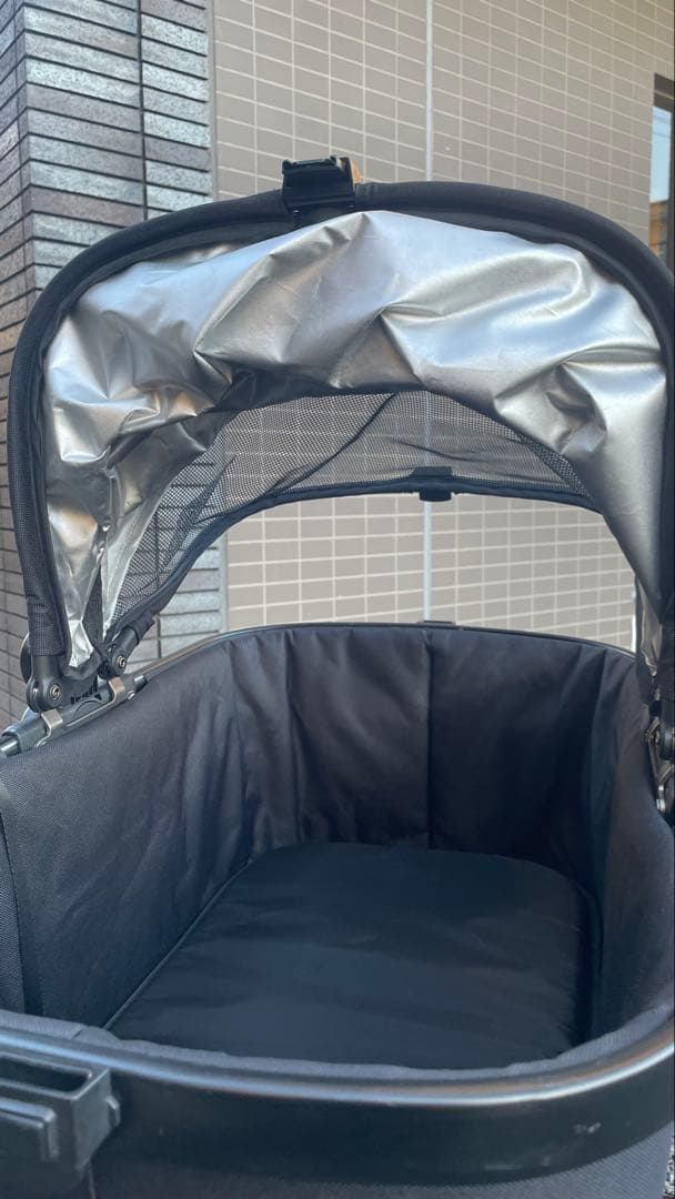 【海外限定カラー】ピッコロカーネ カリーノ3 定価60,500円　オールブラック