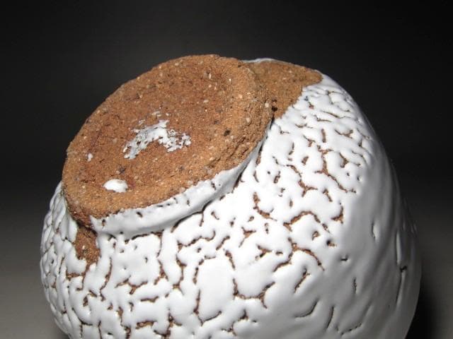 人間国宝 十一代三輪休雪 白萩茶碗「白雲」表千家即中斎花押ｔ411