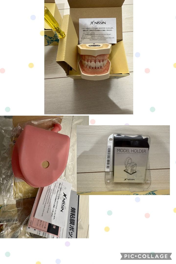 ６月限定値下げ　NISSIN 額模型 歯科模型 セット　歯科衛生士