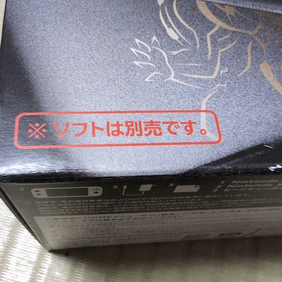 Nintendo Switch Lite ディアルガ　パルキア　本体