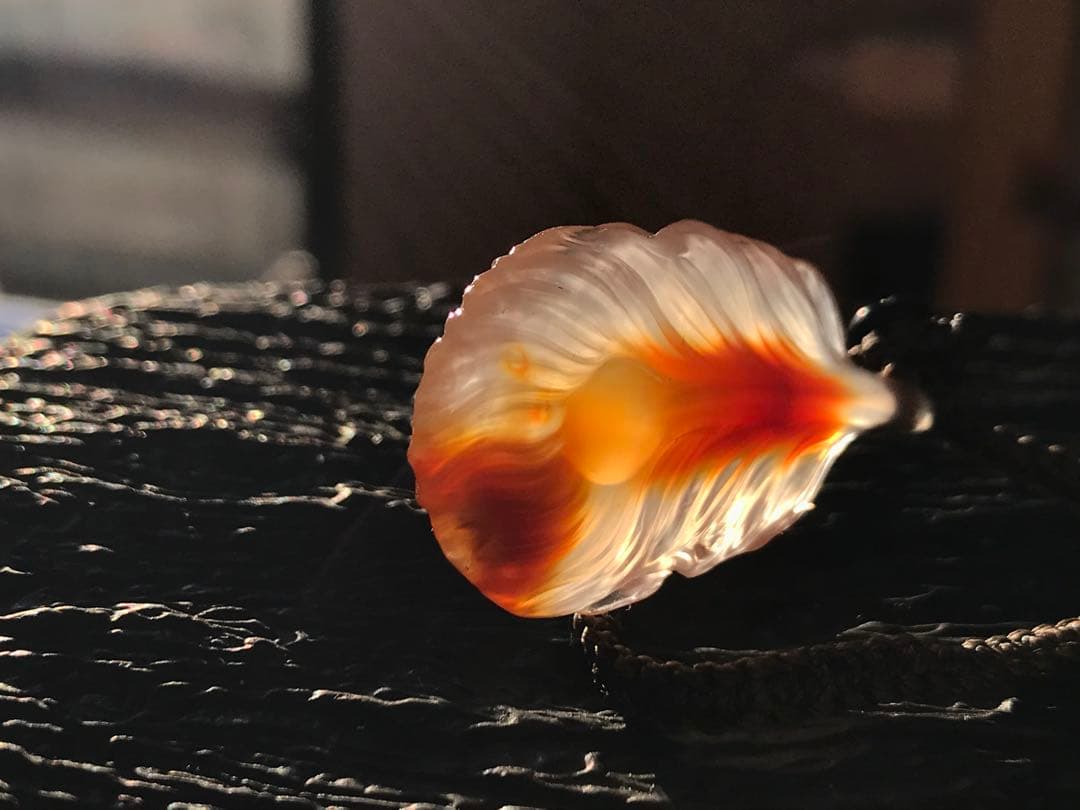 ゴビ石−1328 ゴビ瑪瑙　彫刻『羽毛』