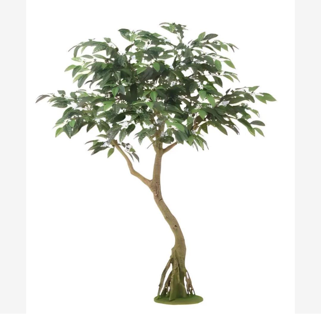 光触媒　人工観葉植物　フェイクグリーン　コーヒー コアッド(本体のみ) 200