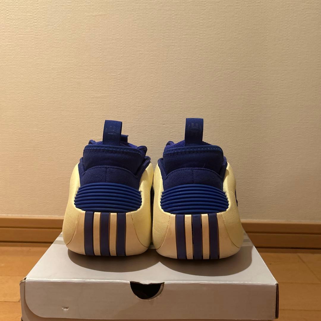 シューズ(男性用) Harden 8