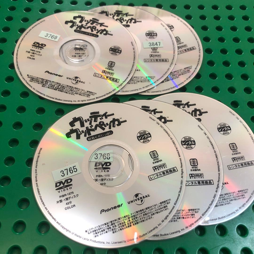 ウッディーウッドペッカー　DVD 6枚セット