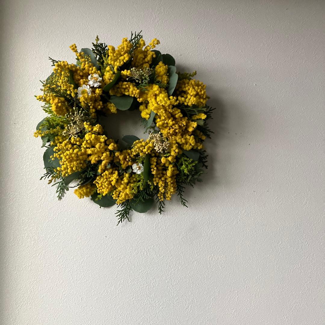 感謝SALE!もりもりミモザのリース　26㎝　銀葉アカシア　花かんざし　春